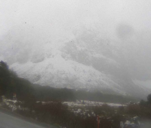 The Milford Road area late this afternoon. PHOTO: MILFORD ROAD ALLIANCE