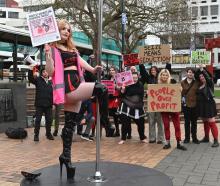 Ex-Stiletto’s stripper Kitten Pasta swings on a pole in the Octagon to protest against conditions...