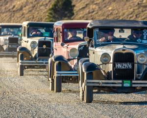 Some of the 200-plus vintage and veteran vehicles taking part in this year’s Irishman Creek Rally...