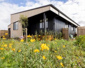 This Auckland house is one of four low-carbon, low-energy and low-water use homes built by...