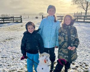 Looking to re-create a Frozen character are Middlemarch family (from left): Alexis Bankshaw (6),...