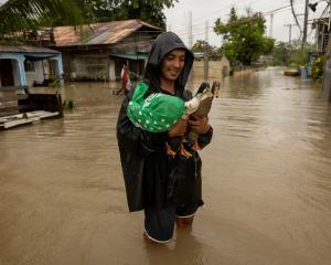 Jasper Miranda, 26, wades through floodwaters with his pet ducks that he saved from their flooded...