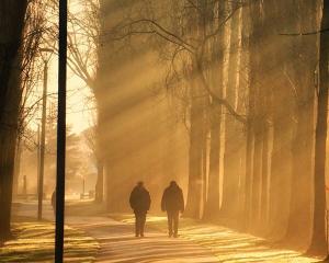 In the colour and light category, Anne-Marie Gutschlag’s photo of a stroll through Queens Park in...