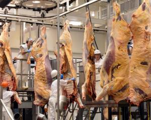 Beef carcasses at Silver Fern Farms' Finegand plant.