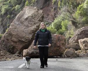 Charlie Hudson walks her dog along Heberden Ave in Sumner. Assoc Prof Annie Potts, co-director of...