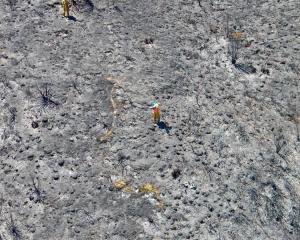 Department of Conservation fire crew members on the blackened face along the East Matukituki...