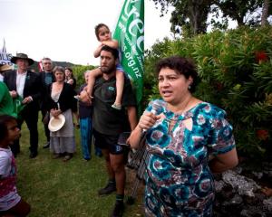 Greens co-leader Metiria Turei addresses deep-sea oil protesters in Waitangi yesterday.