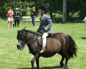 Ryan Baird (7), of Milton, rides his pony. Photos by Helena de Reus.