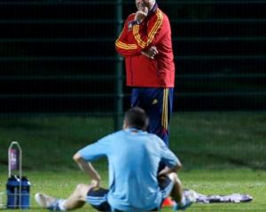 Spain's national soccer coach Vicente del Bosque looks at Andres Iniesta on the pitch during a...