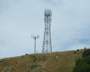 The new 25m Vodafone tower near Owaka. Photo by Helena de Reus.