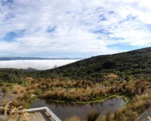 The Orokonui Ecosanctuary. Photo by Craig Baxter.