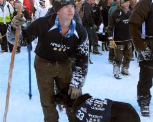 Thomas Lowe, of Twizel, at the Winter Festival Dog Derby at Coronet Peak yesterday. Photo by...