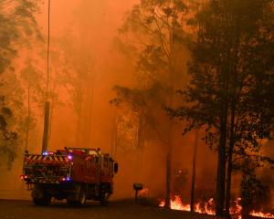 Fire trucks are seen during a bushfire in Werombi, 50 km southwest of Sydney. Photo: Reuters 