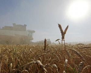 War and climate change-driven extreme weather events are combining to threaten global food...