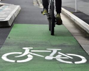 Another cycleway. PHOTO: PETER MCINTOSH
