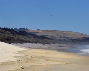 Dunedin’s St Kilda Beach. PHOTO: GREGOR RICHARDSON