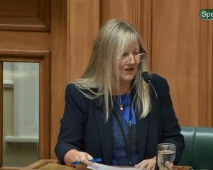Penny Simmonds speaks at parliament on Wednesday. PHOTO: ODT FILES
