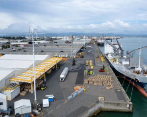 Kiwifruit ready for export. Photo: Zespri / supplied