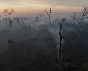 Smoke rises into the air as trees burn amongst vegetation in the Pantanal in Corumba. Photo:...