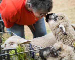 Photo: New Zealand Agricultural Show

