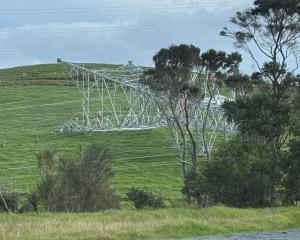 Northland lost power after a tower fell near Kumeu. Photo: Kawakawa Electrical Ltd