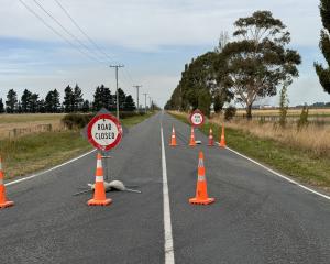 Thompsons Track was closed earlier this year as roadworks were under way. Photo: Supplied