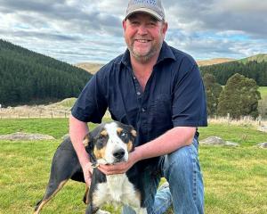 South Otago farmer Paul Collins and his dog Sky won the National Long Head sheepdog trials for...