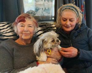 Sue Noble-Adams, left, and Animal Rehab Central volunteer Shirleen Steel with Lady Jane, a Shitzu...