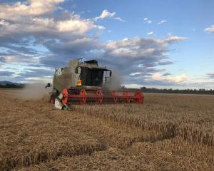 Arable farmers took in higher crop yields last summer. PHOTO: DAVID HILL