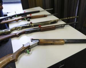 Firearms that will remain legal, depending on number of rounds and magazine type. (File photo)...