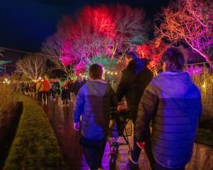 More than 2500 people gathered at the Gore Gardens last year for Kāhui Whetū. PHOTO: SUPPLIED