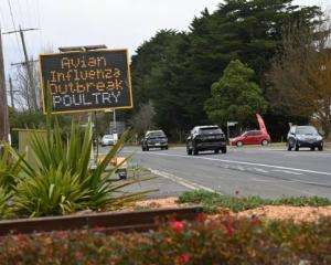 File photo: Agriculture Victoria