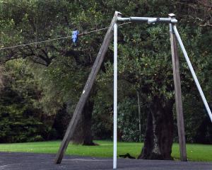 The Woodhaugh Gardens flying fox is without a seat, again. PHOTO: PETER MCINTOSH