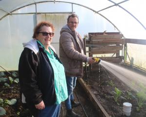 Karen Clearwater oversees Rodney Flowers watering the plants at Bainfield Gardens.