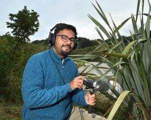 Dunedin wildlife podcaster and film-maker Karthic SS at Tomahawk Beach on Friday. PHOTO: GREGOR...