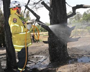 A Waikuku Beach volunteer firefighter dampens down hotspots following a disastrous fire at Loburn...