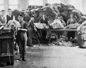 Back when wool was £1 a pound, graders at Dunedin wool dealers J.K. Mooney and Co case wool for...