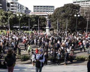 A protest against the Fast-track Approvals Bill outside Parliament in May. Photo: RNZ