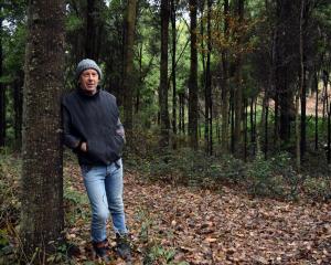 Richard Wilden leans on a blackwood tree on his property in Saddle Hill. Photo: Shawn McAvinue