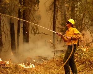 A firefighter tries to contain part of the Park fire in Lyonsville, California. PHOTOS: REUTERS