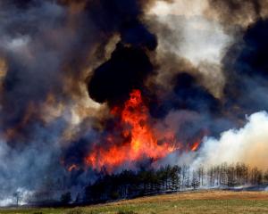 A forest fire rages near Kumanovo in North Macedonia. Photo: Reuters