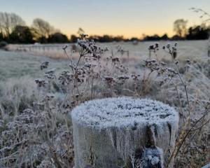 A frosty fencepost in rural Canterbury. Photo: RNZ / Jean Edwards