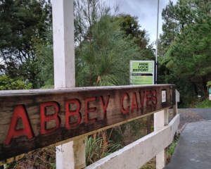 The entrance to Abbey Caves in Whāngarei. Photo: RNZ