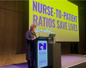 New Zealand Nurses Organisation president Anne Daniels speaking at the conference on Tuesday...