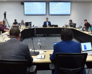 The Dunedin City Council hears submissions on the potential sale of Aurora. PHOTO: PETER MCINTOSH
