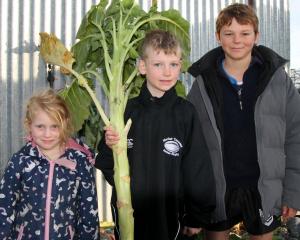 Tallest kale winners Holly, 4, and Odie, 7, McPherson with George Anderson, 10 (right). PHOTOS:...