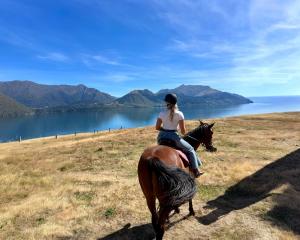 Trainee livestock agent Hayley MacDonald finds it harder to find time to get on horseback now,...