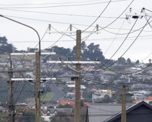 The Dunedin City Council considers selling electricity distribution company Aurora Energy as the...