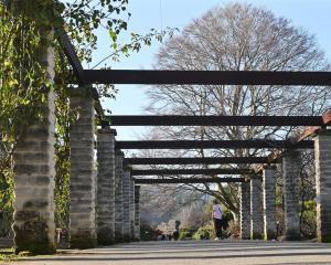 The main path through the lower Dunedin Botanic Garden. PHOTO: GERARD O'BRIEN