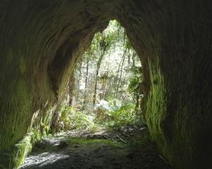 A man-made cave at Te Aka. PHOTO: MIKE YARDLEY